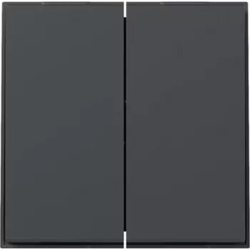 Gira TX44 tipka 2-struka ravna, antracit, 349567