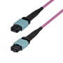 StarTech.com OM4MTP12BOFNP10M MTP/MPO-12 višemodni optički patch kabel (10 m)