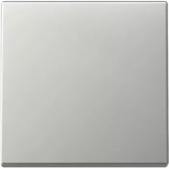 Gira 3296600 tipka System 55, nehrđajući čelik
